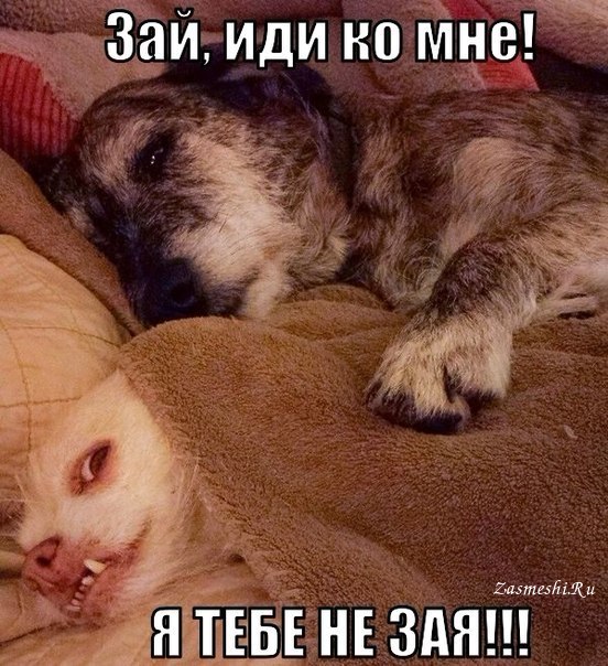 Проснулся. Посмотрел на жену