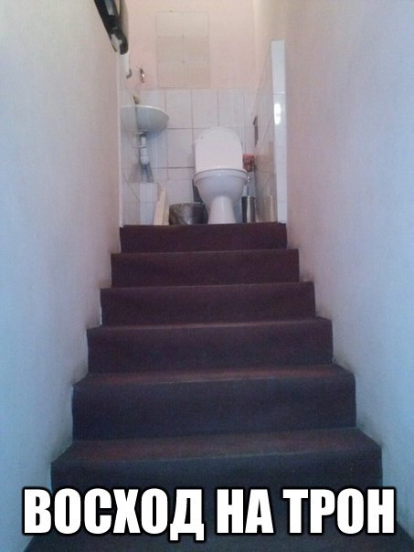 Прикольные картинки из соцсетей
