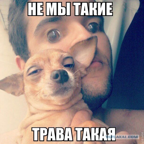 И еще немного картинок...
