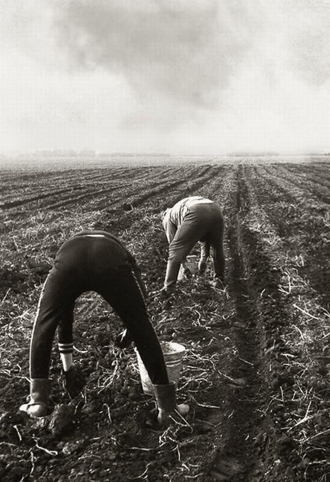 Интересные и редкие ретро-фотографии