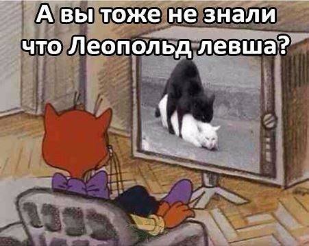 Немного картинок в эту субботу