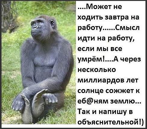 Немного интересных и добрых картинок