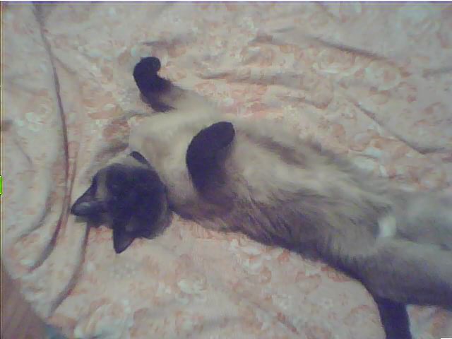 КОТовторник 13.04.2010г.
