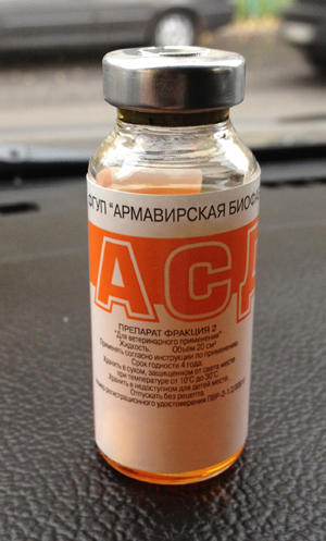 Дневник кота