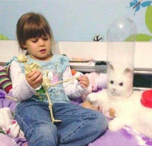 WTF: что тут происходит?