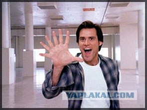 Необычный кот