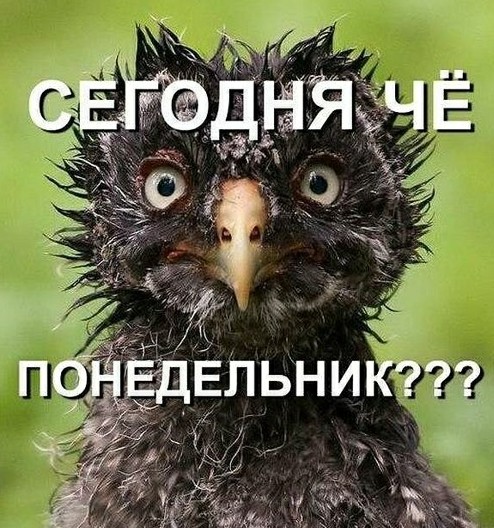 Немного картинок с надписями и без - 7
