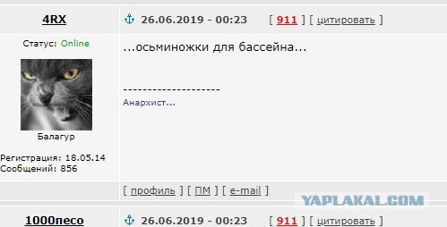 Что бы это могло быть? Вопрос для любознательных.