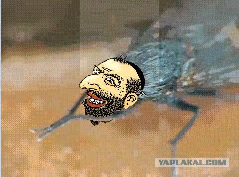 Про гламурного мажора. Федор Бондарчук