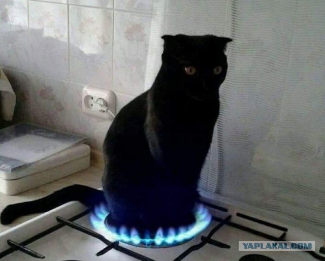 Картинки на вечер