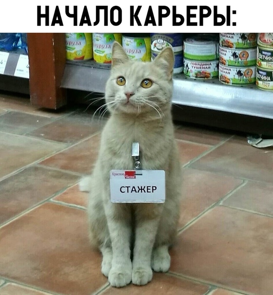 Немного картинок для настроения со всего мира IV