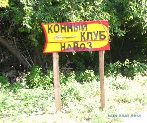 Казусы моего города. Часть первая