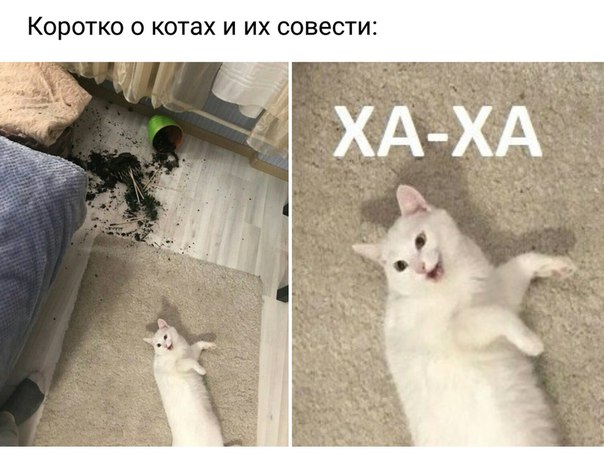 Немного картинок для настроения 27.01.20