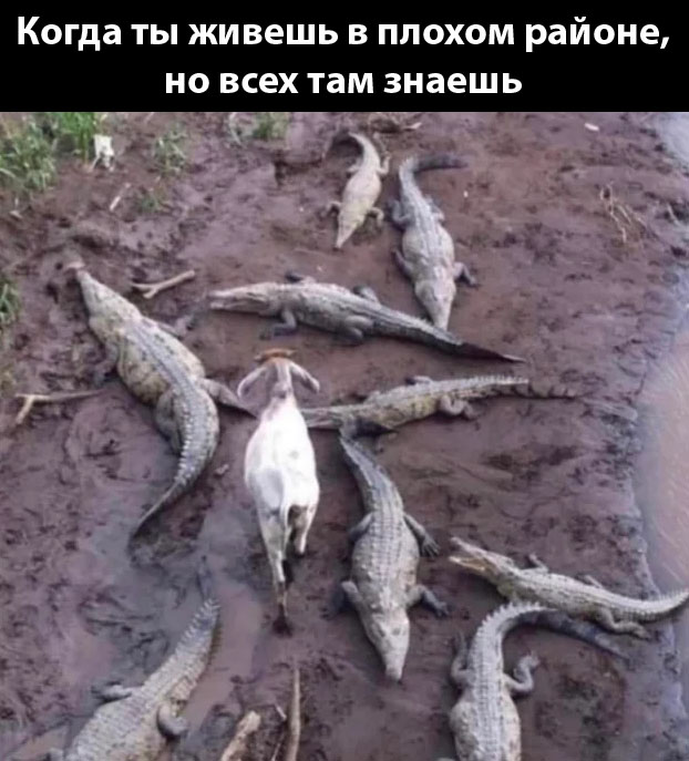 Чуток картинок 12.03.20
