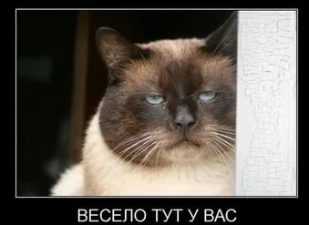 Мужчины, этот пост для вас или тридцать и одна причина, почему мы вас обожаем
