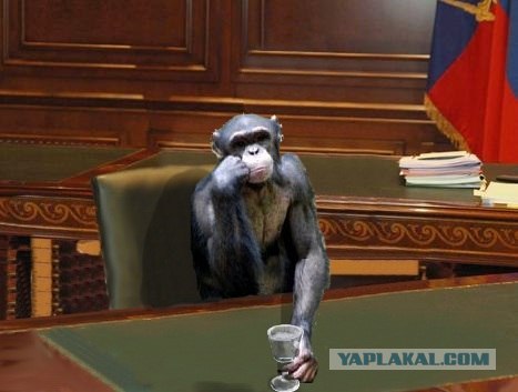 На ЯПе завис