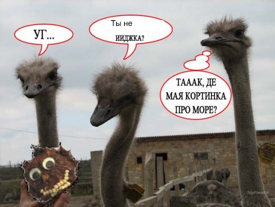 Фотожаба на пятницу