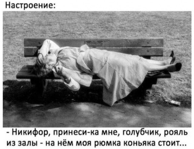 Фотки и картинки: юморные и красивые, забавные и милые 24.09.20