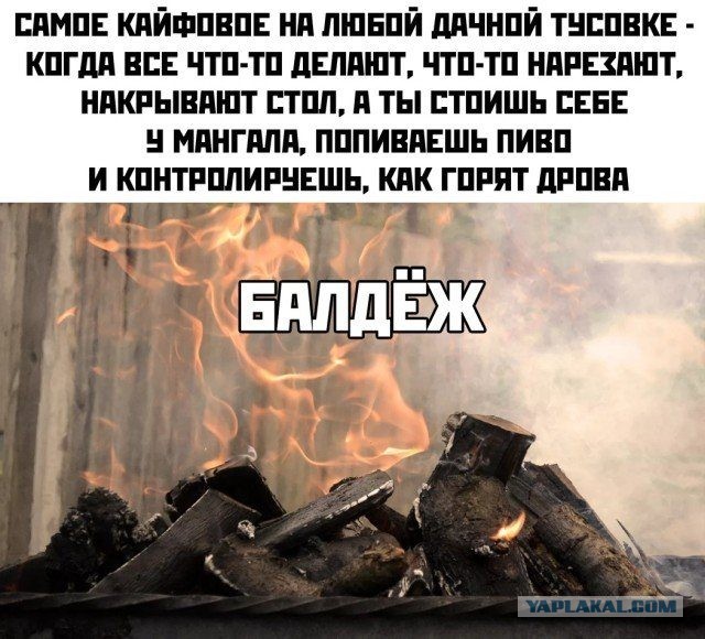 Немного картинок для настроения 05.11.20