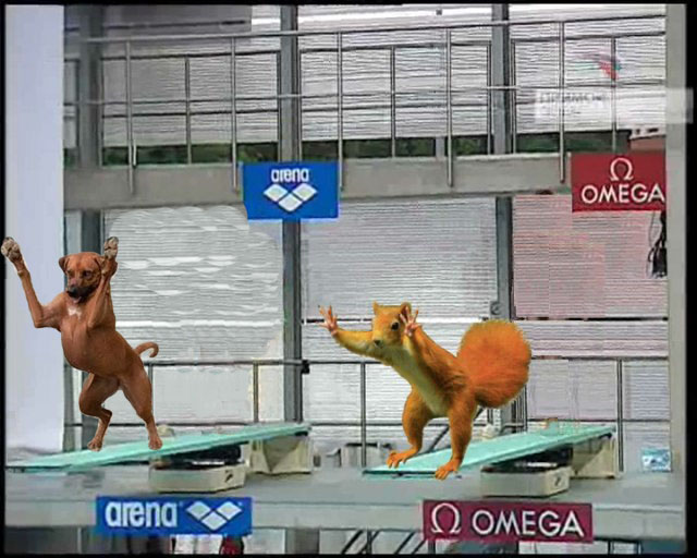 Фотожаба: Белка как бы говорит нам...
