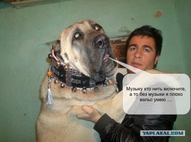 Фотожаба: Товарищи
