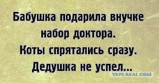 Юмор в картинках  22.12.20