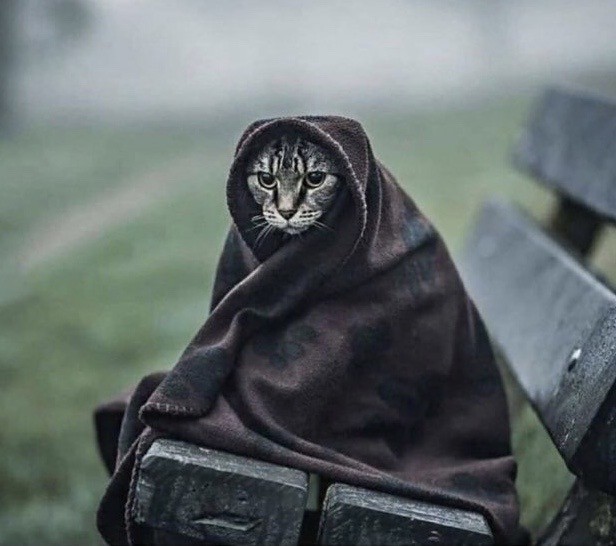 Больше не бомж!