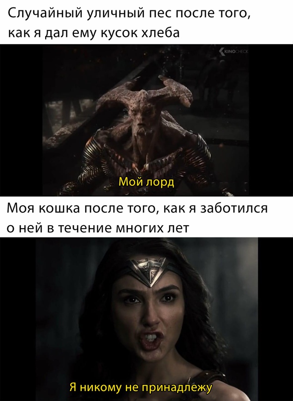 Весёлый полтишок 29.03