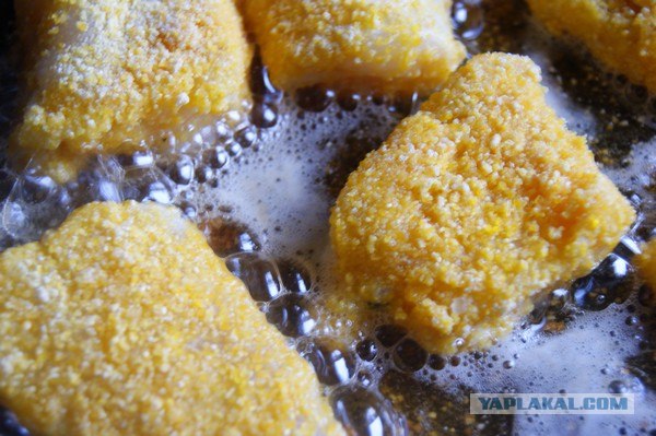 Все из рыбы!