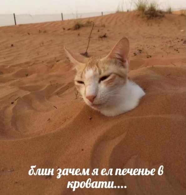 Так себе картинки 11.07.21
