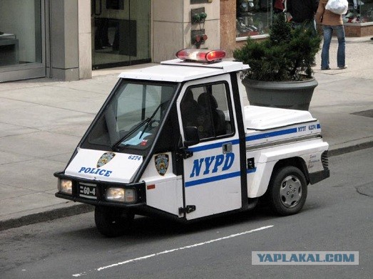 Толстая полиция