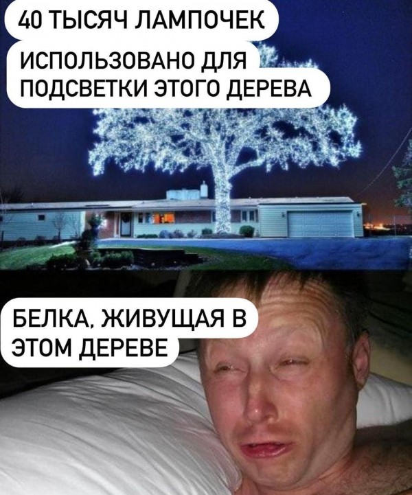 Баянисто-небаянистый юмор 26.09.21