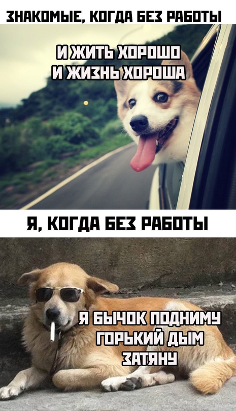 Картинки и мемы для настроения 03.11.2021