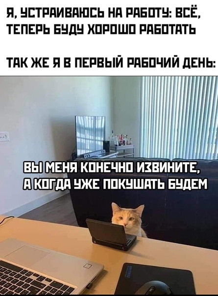 Весёлый полтишок 06.01