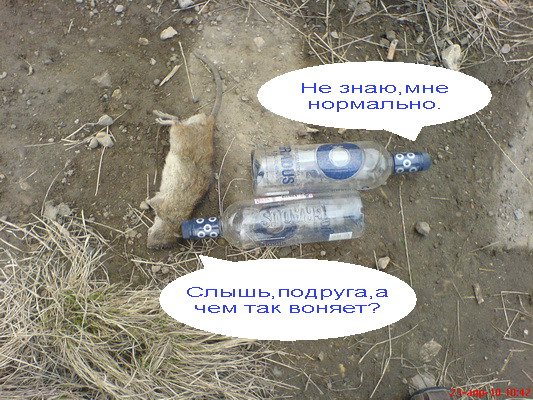 Добро пожаловать в Пермь