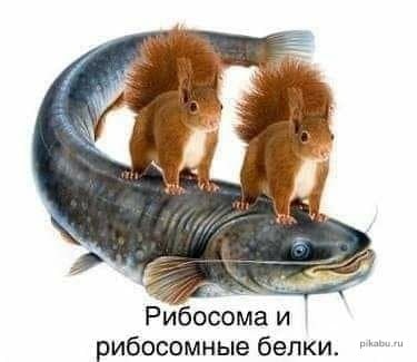 Пандемия. Коронавирус и съехавшие крыши. Россия и мир. Часть 33.