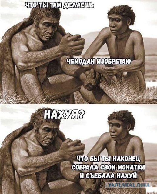 4 года псу под хвост?