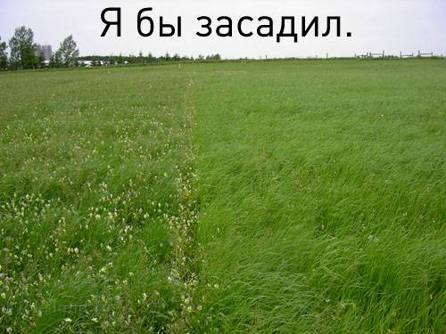 В ответ на тему "Бурятия вышла из состава России"