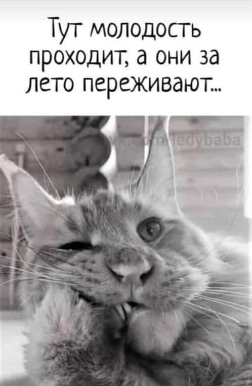Картинки и мемы, всем хороших выходных
