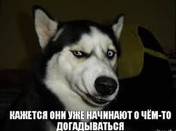Несмотря на санкции