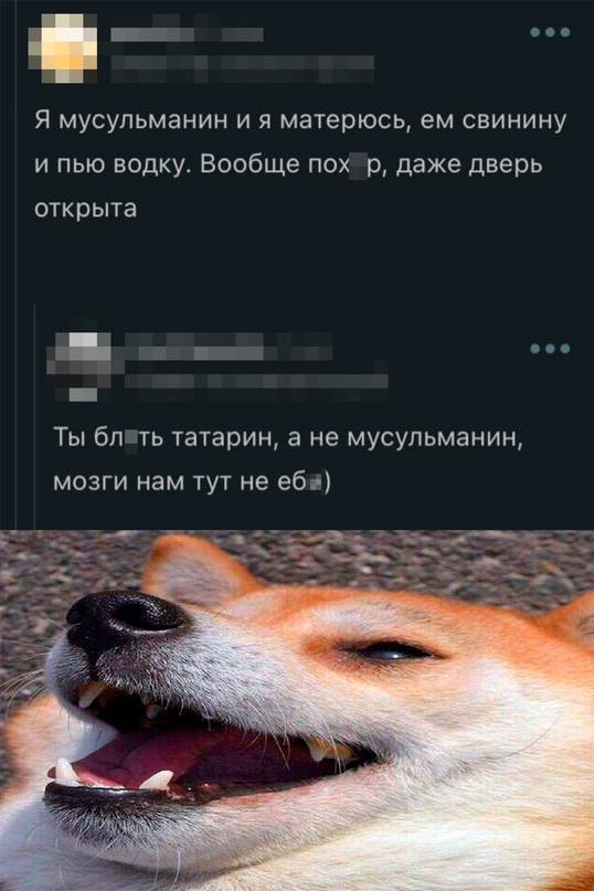 Весёлый полтишок 08.09.22