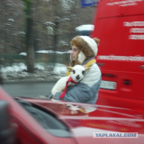 Румыния 20.12.12