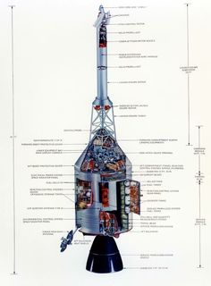 История Луноспоров