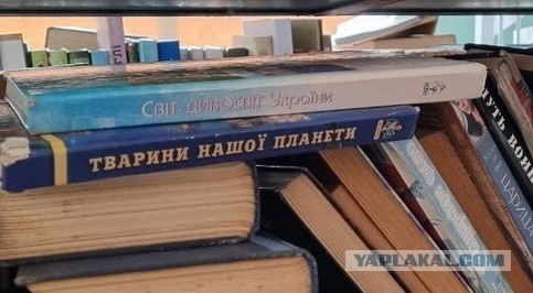 Sashaaist: Ложка для солдата