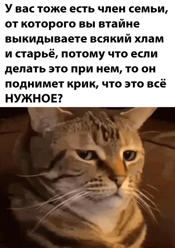 Картинки и мемы для настроения - 167