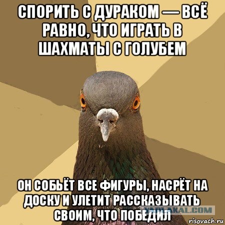Российских школьников хотят отправить в лагеря Северной Кореи