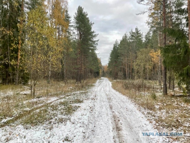Зима подкралась незаметно