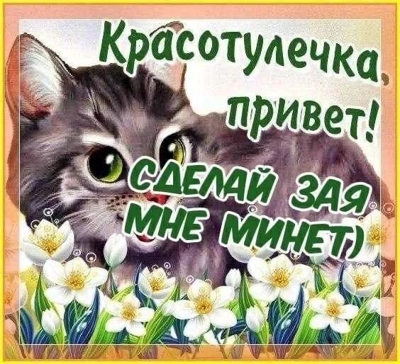 Приколы с налетом деградации