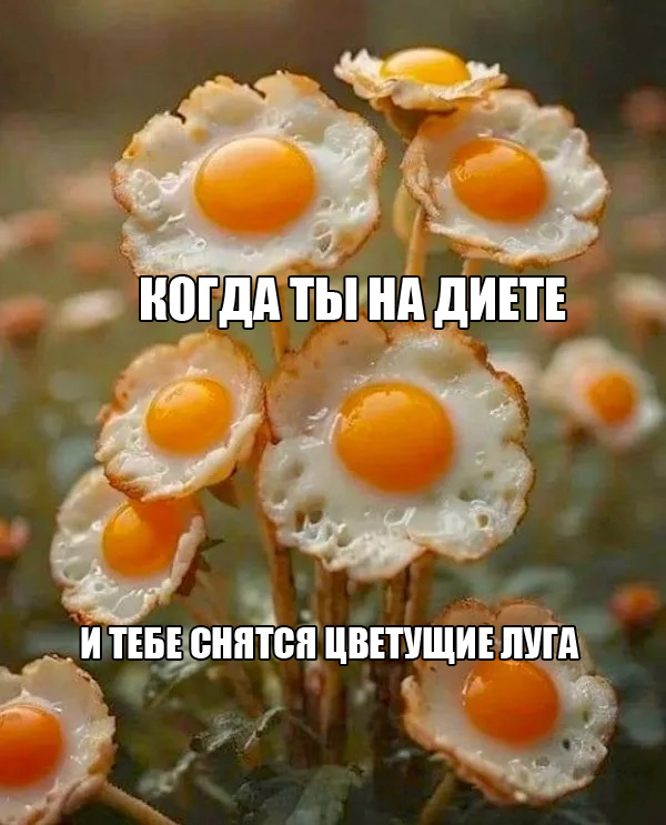 ФотоВинигрет  52 пикчи