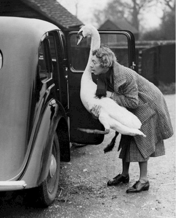 Смешал, но не взбалтывал: 24.08.24